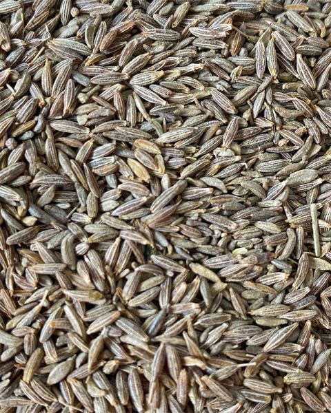 Jilakara (D) (Cumin Seeds) (SP Method) (100 Grams)