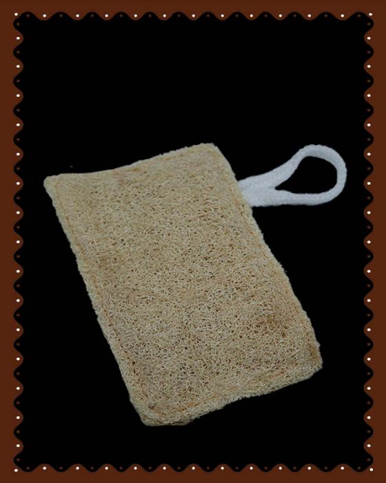 Loofah Rectangle Shape (1 Pc)