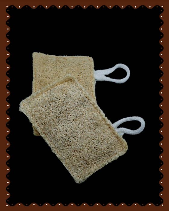 Loofah Rectangle Shape (1 Pc)