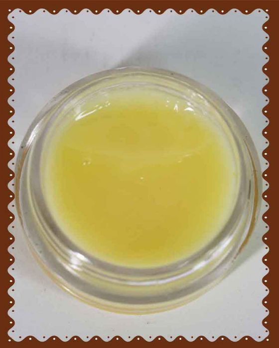 Pumpkin Honey Lip Balm (8 Grams)