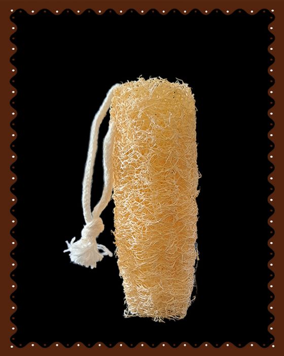 Loofah Cylindrical Shape ( 1 Pc )