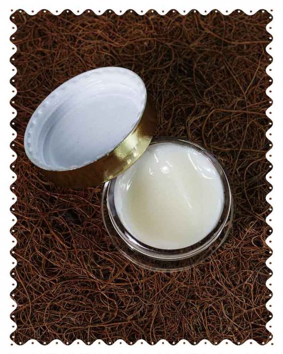 Shea Butter & Vanilla Lip Balm (8 Grams)