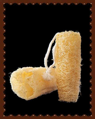 Loofah Cylindrical Shape ( 1 Pc )